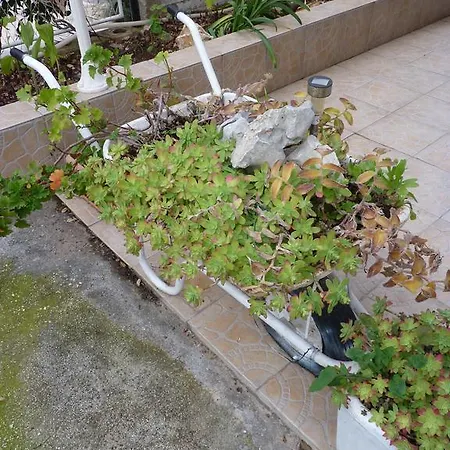 Apartment White Lady Okrug Gornji
